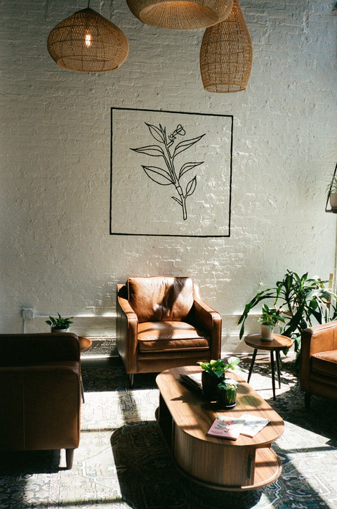 Sunlit lounge chairs, plants, and Arrowroot’s botanical wall artwork